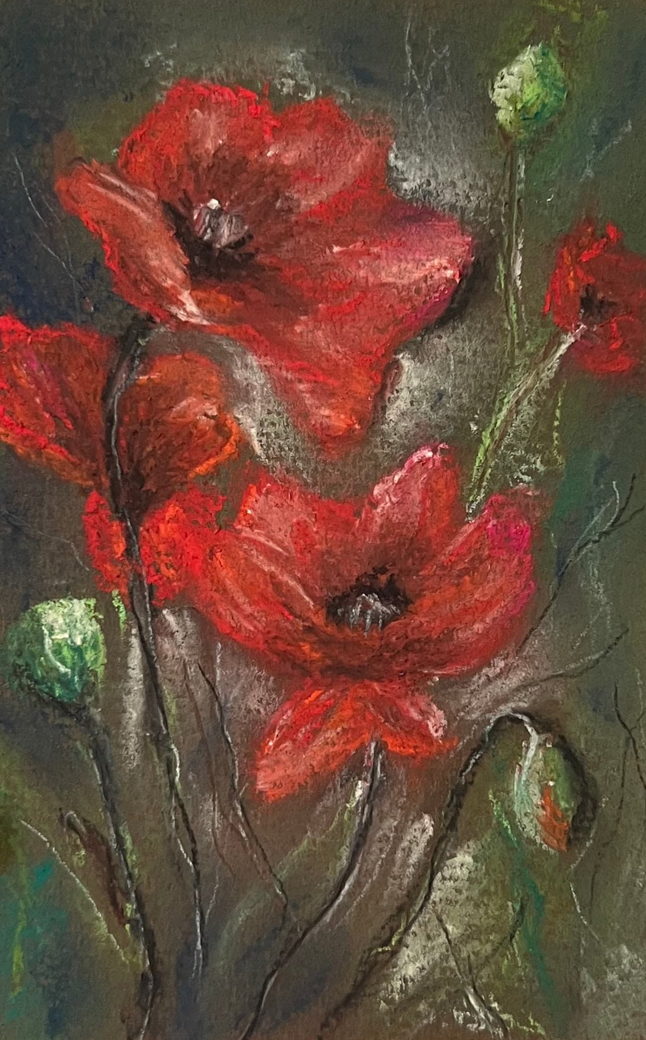 Red poppies with dark centres and green seed pods rise on thin stems against a dark, mossy background.
